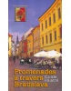 Promenades a Travers Bratislava (Danica Janiaková)