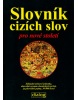 Slovník cizích slov pro nové století (Jiří Linhart)