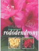 Stálezelené rododendrony (Karel Hieke)