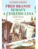 Tajemné stezky Před bránou Šumavy a Českého lesa (Aleš Česal)