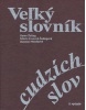 Veľký slovník cudzích slov (Kolektív autorov)