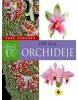 Orchideje Vaše zahrada (Jiří Rill)