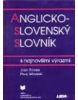 Anglicko - slovenský slovník s najnovšími výrazmi (Josef Fronek)