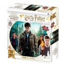 3D PUZZLE Harry Potter: Harry, Hermiona a Ron 300 dielikov