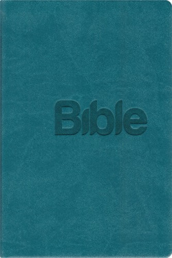 Bible 21 (Alexandr Flek)