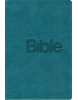 Bible 21 (Alexandr Flek)