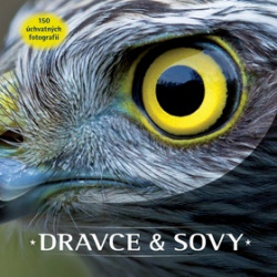 Dravce a sovy (1. akosť)