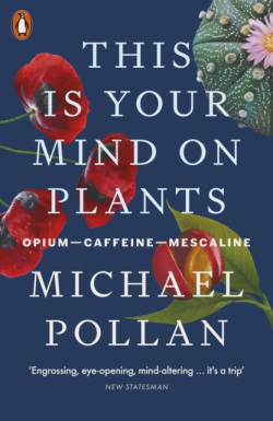 This Is Your Mind On Plants (Michael Pollan)