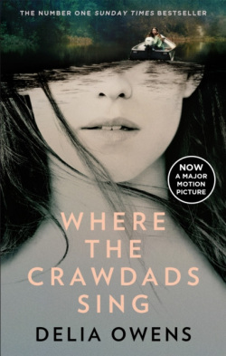 Where the Crawdads Sing (Delia Owens)