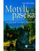 Motýlí paseka (Ota Bouzek)