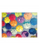 Obal PP s patentkou A4, Colorful Umbrellas