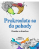 Prokreslete se do pohody (Sheila Darceyová; Rachel Smithová)