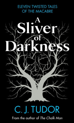 A Sliver of Darkness (C. J. Tudor)