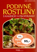 Podivné rostliny s kaudexy a pachykauly (Jan Gratias)