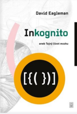 Inkognito (David Eagleman)