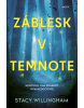 Záblesk v temnote (Stacy Willingham)