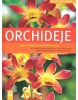 Orchideje (Frank Röllke; Guida Sachse)
