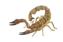 Ručne maľovaná figúrka Škorpión