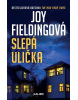 Slepá ulička (Joy Fieldingová)