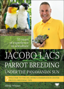 Jacobo Lacs Parrot breeding under the Panamanian sun (Alena Winnerová)