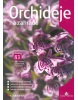 Orchideje na zahradě (Pavel Sekerka)