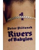 Rivers of Babylon (Peter Pišťanek)