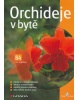 Orchideje v bytě (Eva Sedláčková)