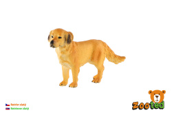 Retriever zlatý - pes domáci zooted