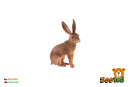 Figúrka Zajac poľný zooted 6 cm