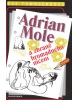 Adrian Mole a zbraně hromadného ničení (Sue Townsendová)