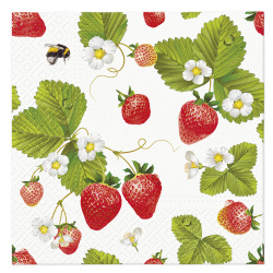 Obrúsky PAW L 33 x 33 cm Strawberries with Bees
