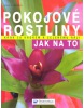 Pokojové rostliny Jak na to (Anja Flehmig)