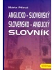 Anglicko - slovenský a slovensko - anglický slovník (Mária Piťová)