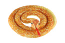 Had plyšový oranžovo-žltý 200 cm