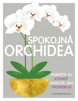 Spokojná orchidea (1. akosť) (Rittershausen Sara)