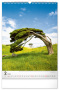 Nástenný kalendár Stromy 2024, 33 × 46 cm