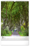 Nástenný kalendár Stromy 2024, 33 × 46 cm