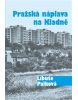 Pražská náplava na Kladně (Libuše Palková)