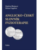 Angkicko-český slovník fyzioterapie (Markéta Blažejová, Helena Gogelová)