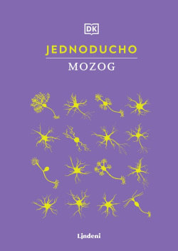 Jednoducho - Mozog (Kolektív)