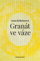 Granát ve váze (Anna Brikciusová)