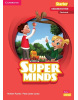 Super Minds, 2nd Edition Starter Flashcards - obrázkové karty (Herbert Puchta)