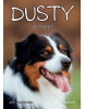 Dusty 6: Dusty je najlepší! (Jan Andersen)