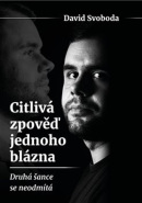 Citlivá zpověď jednoho blázna (David Svoboda)