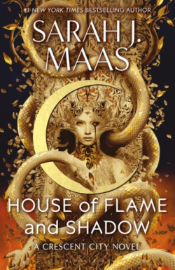 House of Flame and Shadow (Sarah J. Maas)