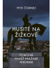 Husité na Žižkově (Petr Čornej)