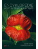 Encyklopedie rostlin tropů a subtropů (Libor Kunte, Romana Rybková)
