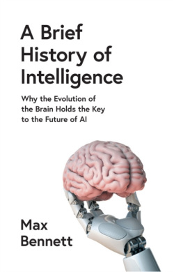 A Brief History of Intelligence (Max Bennett)