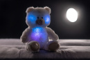 Rojko medveď biely plyšový 40 cm na batérie so svetlom so zvukom