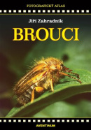 Brouci (Jiří Zahradník)